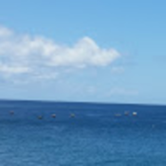 Meet your Posher, Var - Picture 1 of 1